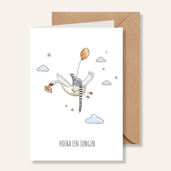 Juulz Illustrations Wenskaart Hoera Een Jongen