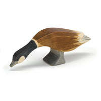 Canadese gans lange hals