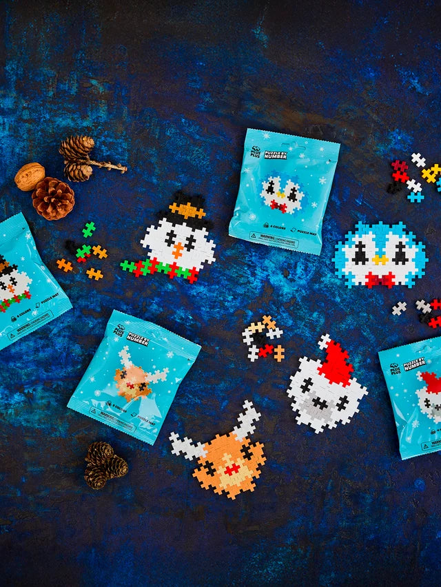 Puzzle by Number Winter