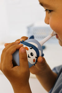 Zoo Toothbrush Raccoon