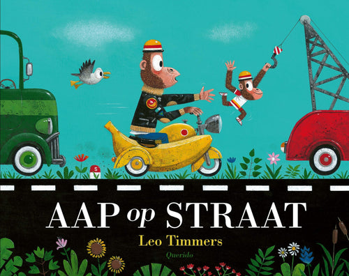 Aap Op Straat