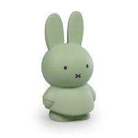 Atelier Pierre Junior Nijntje Spaarpot | Medium Eucalyptus