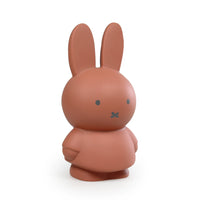 Atelier Pierre Junior Nijntje Spaarpot | Small Terra