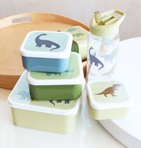 A Little Lovely Company Lunch & snack box set Dinosaurussen