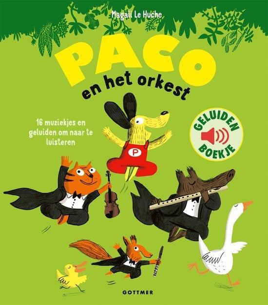 Paco en het orkest (geluidenboek)