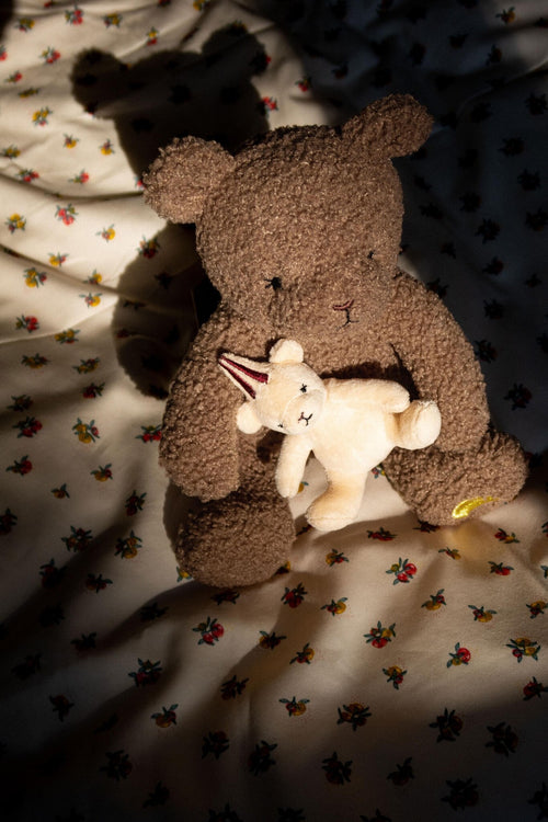 Activiteitenknuffel Music Teddybear