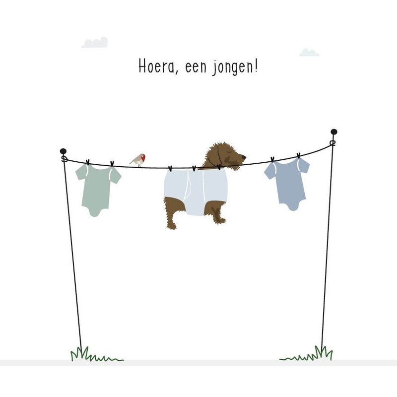 Mevrouw Emmer Wenskaart Hoera, een jongen! Waslijn