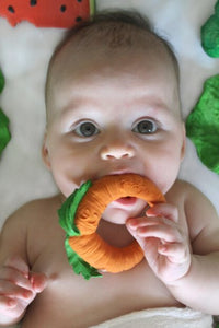 Oli & Carol Bijtspeeltje Cathy the Carrot