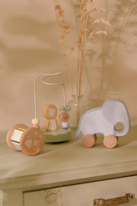 Houten Giftset Safari Friends FSC